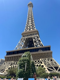 View from sitting poolside