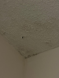 Schimmel op plafond boven het bed