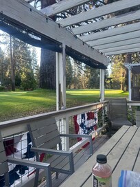 View from the back deck
