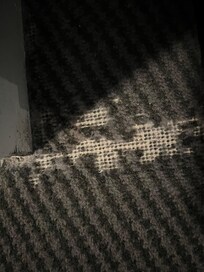 Carpet £276 a night