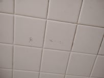 Hair on tile