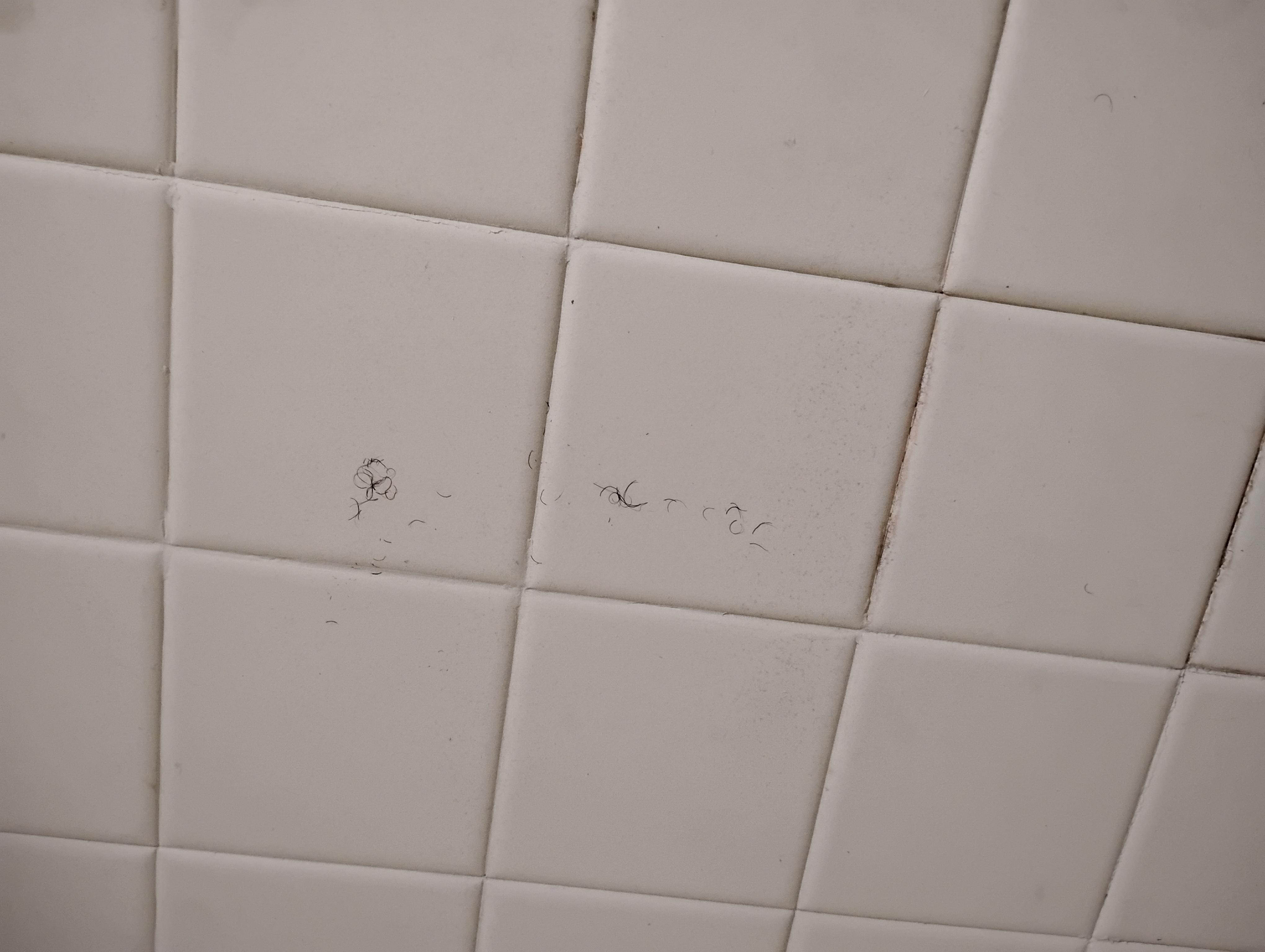 Hair on tile