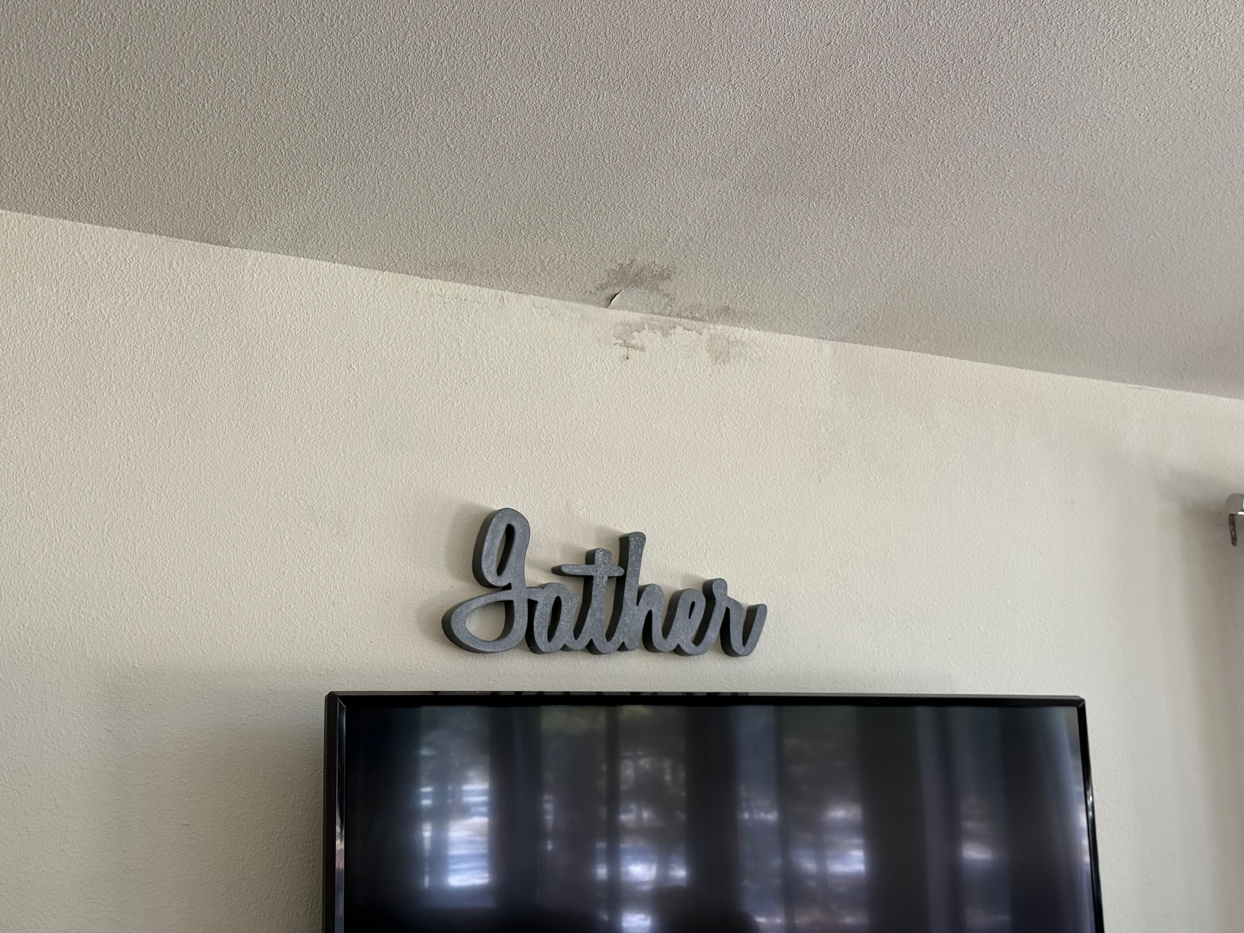 Mold on living room ceiling