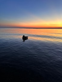 Amazing sunset
