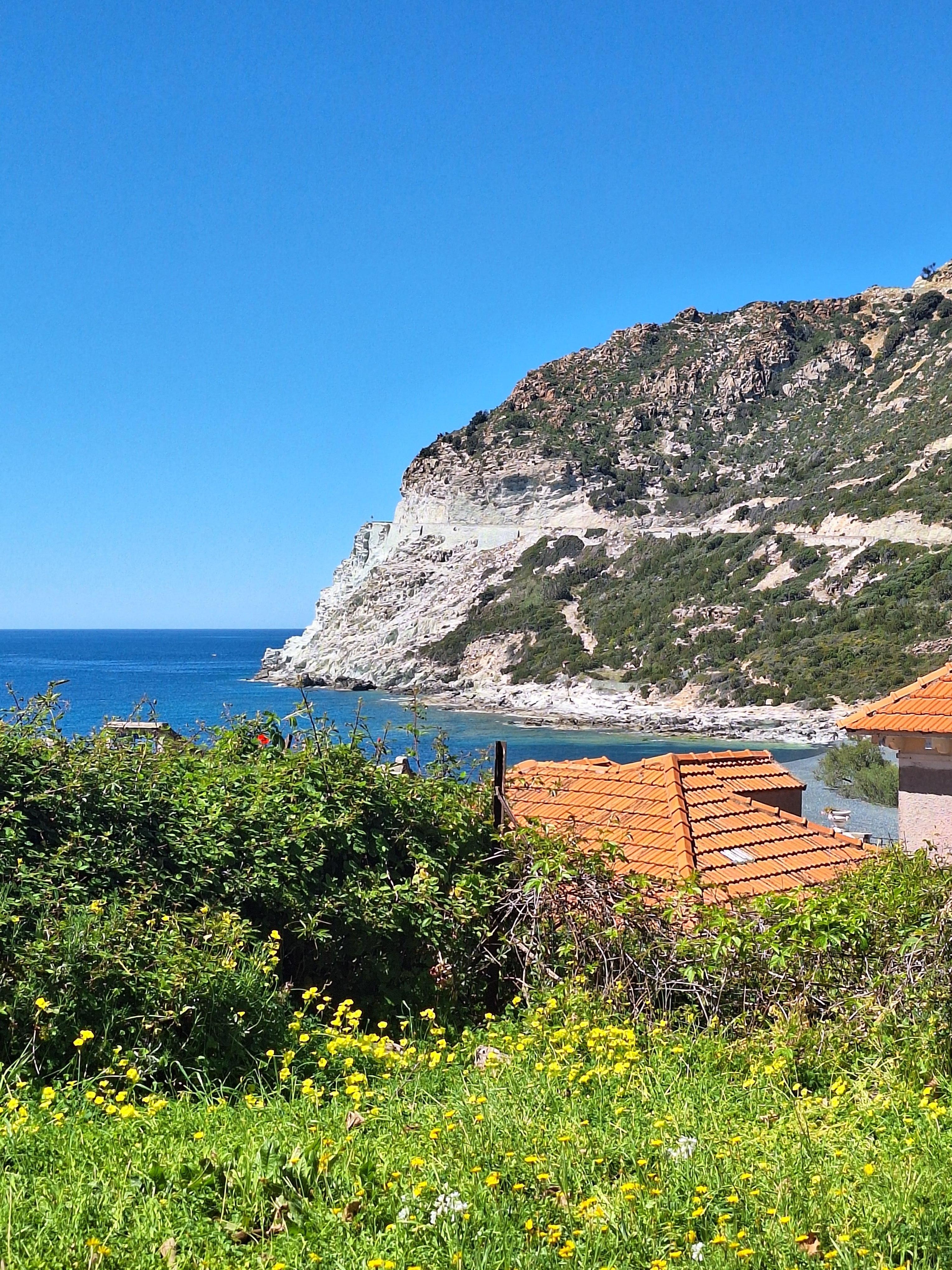 Vue depuis le jardinet