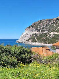 Vue depuis le jardinet