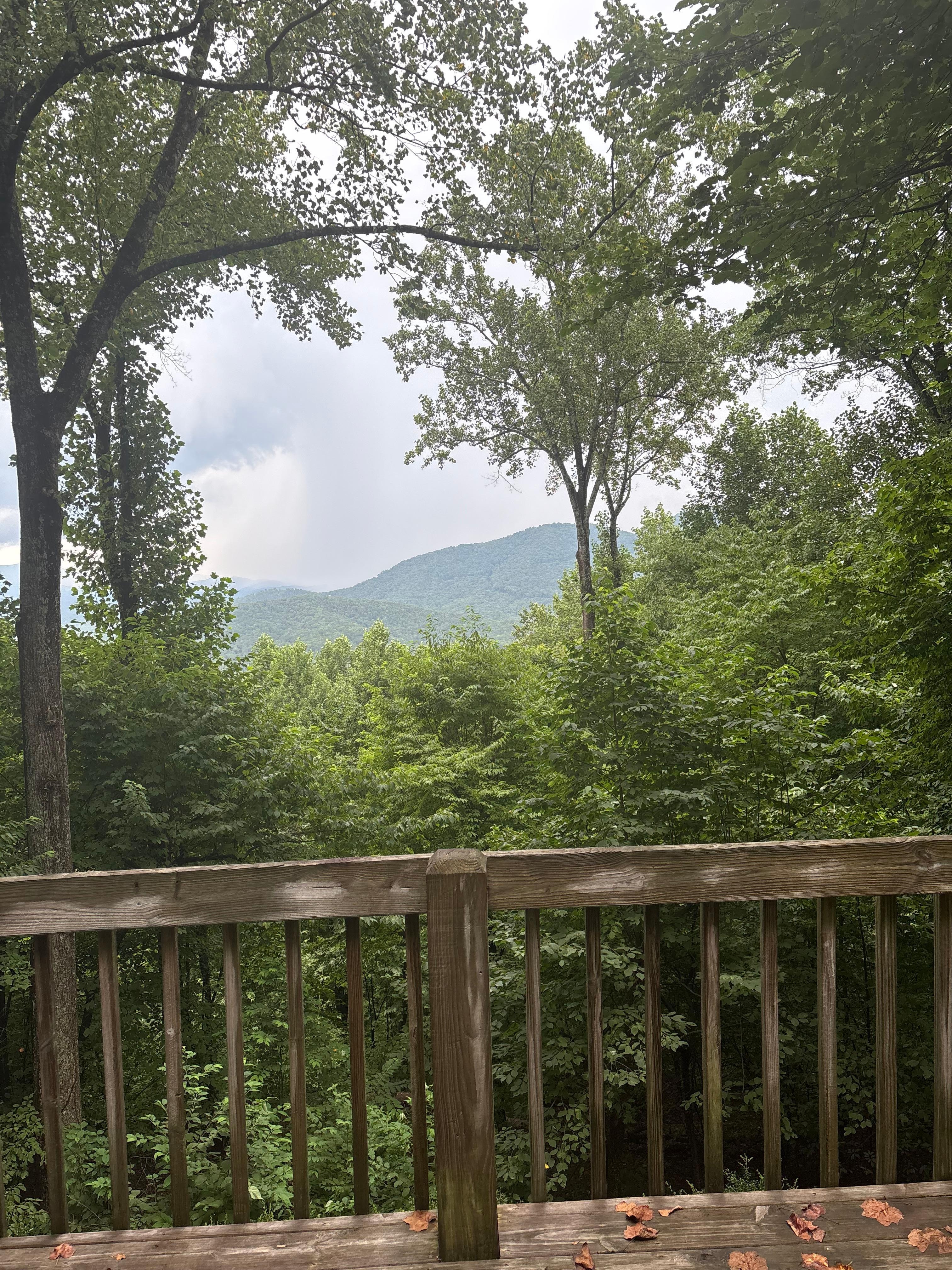 My early morning view on the deck having my coffee before the family was awake.