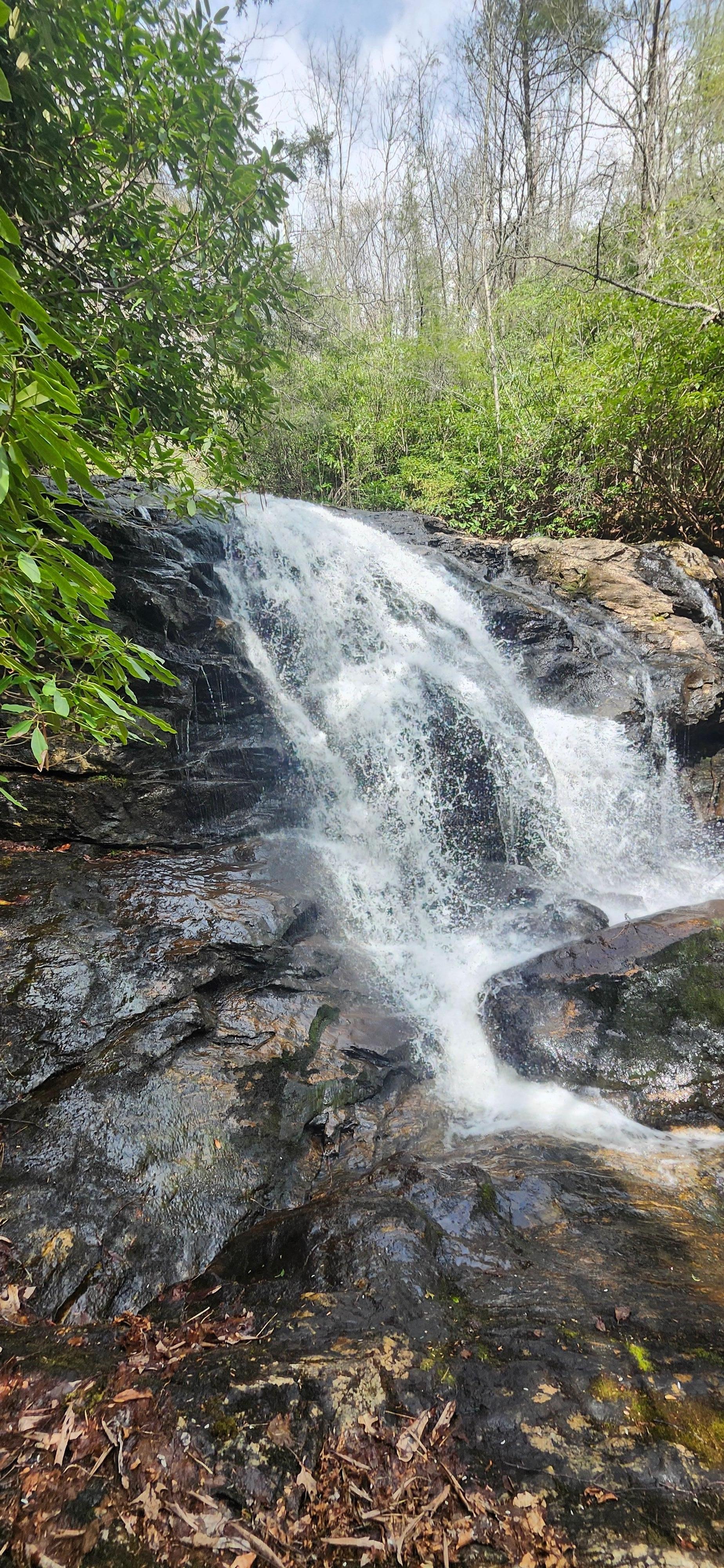 Laurel Falls was beautiful!