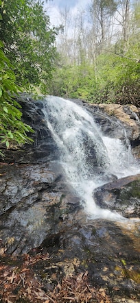 Laurel Falls was beautiful!
