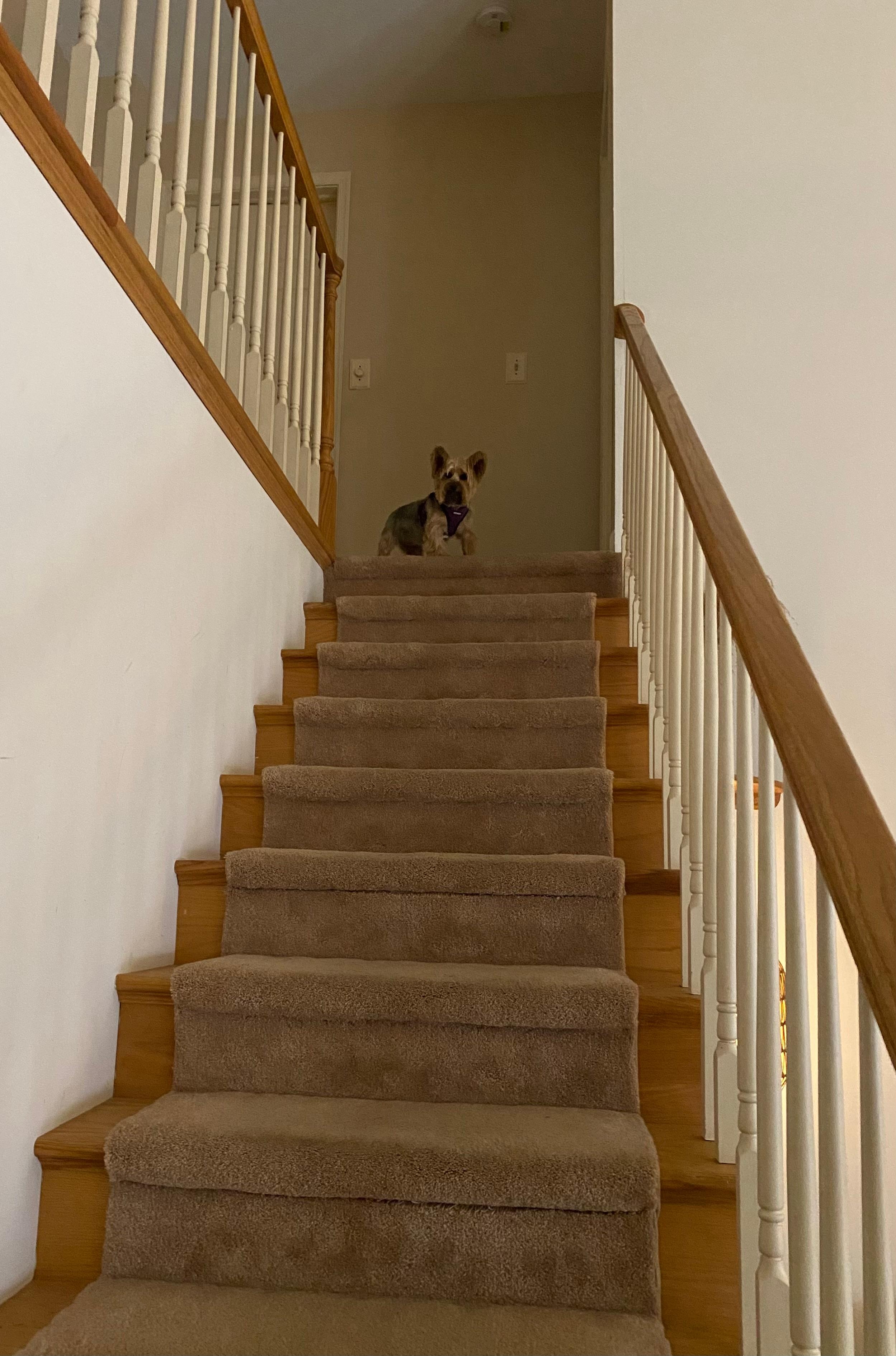 Even Emma enjoyed her visit!