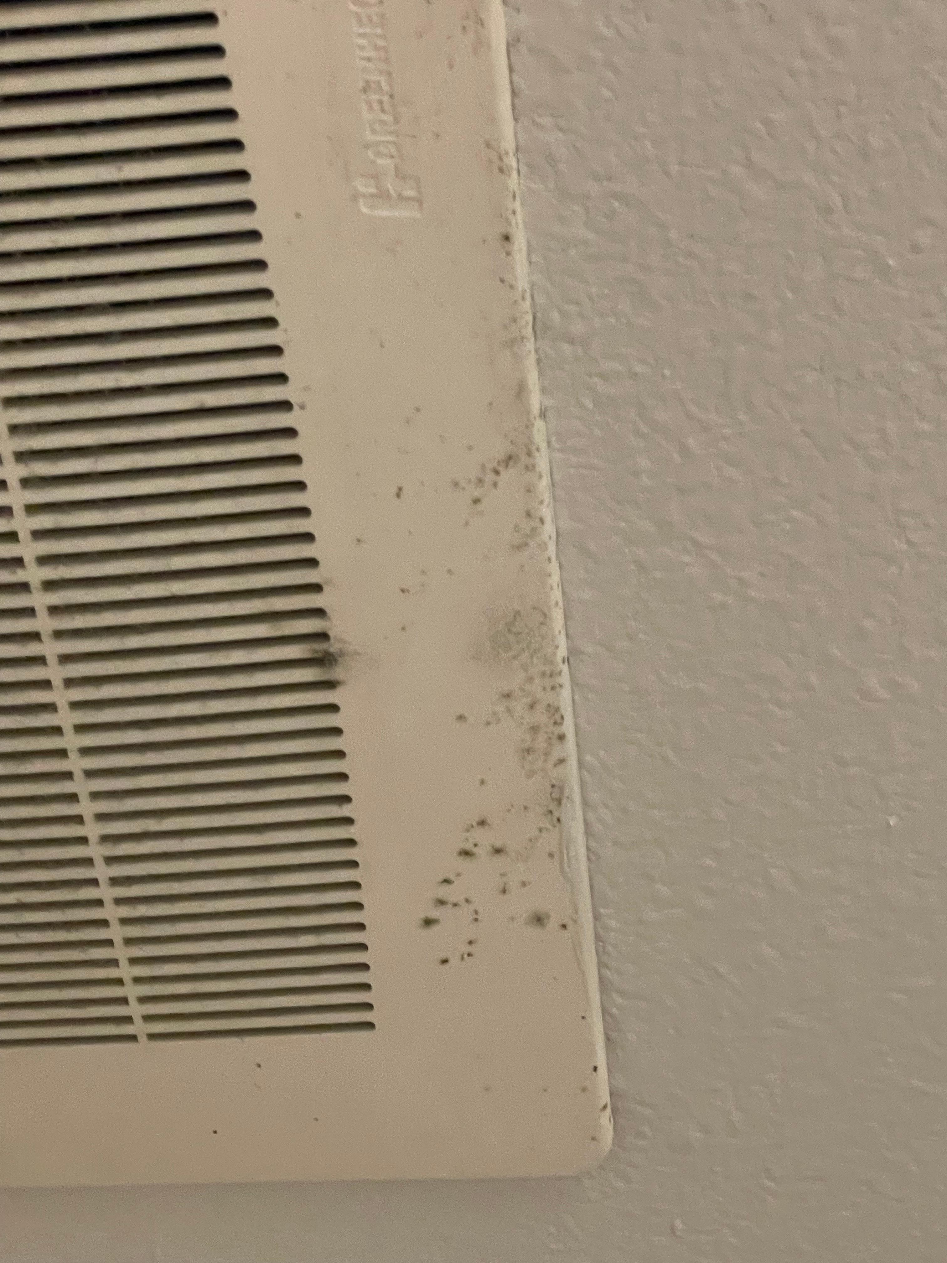 Dirt on the vent in bathroom 