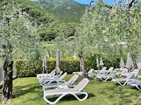 Sunbathe amongst the olive trees