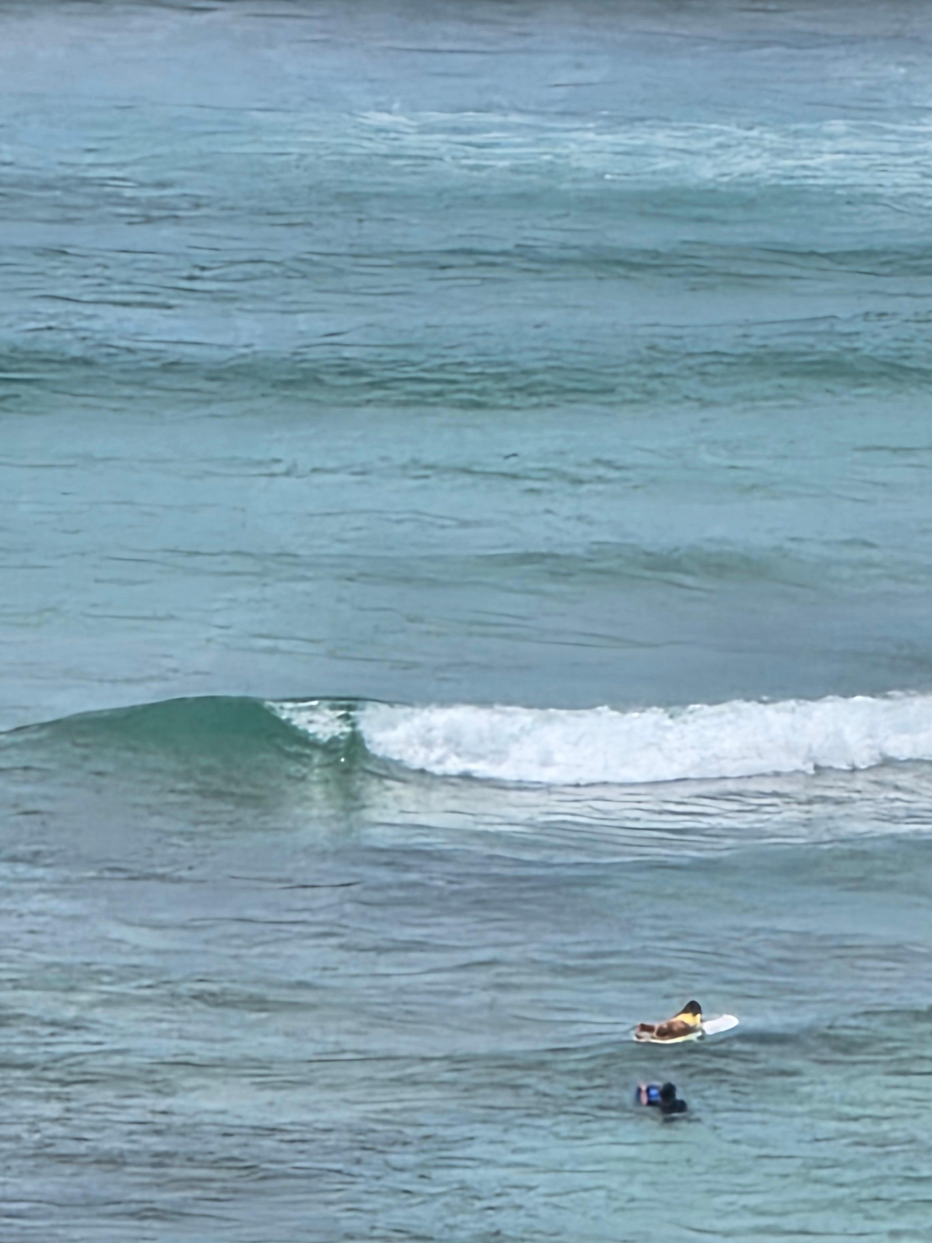Waikiki beach from room