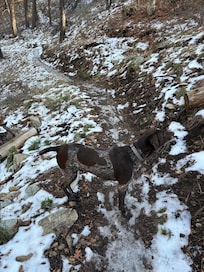 Out for a walk in Prescott Nat Forest with our dog Zeus.