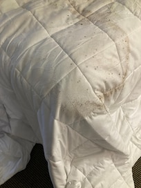 Mold? Mildew?