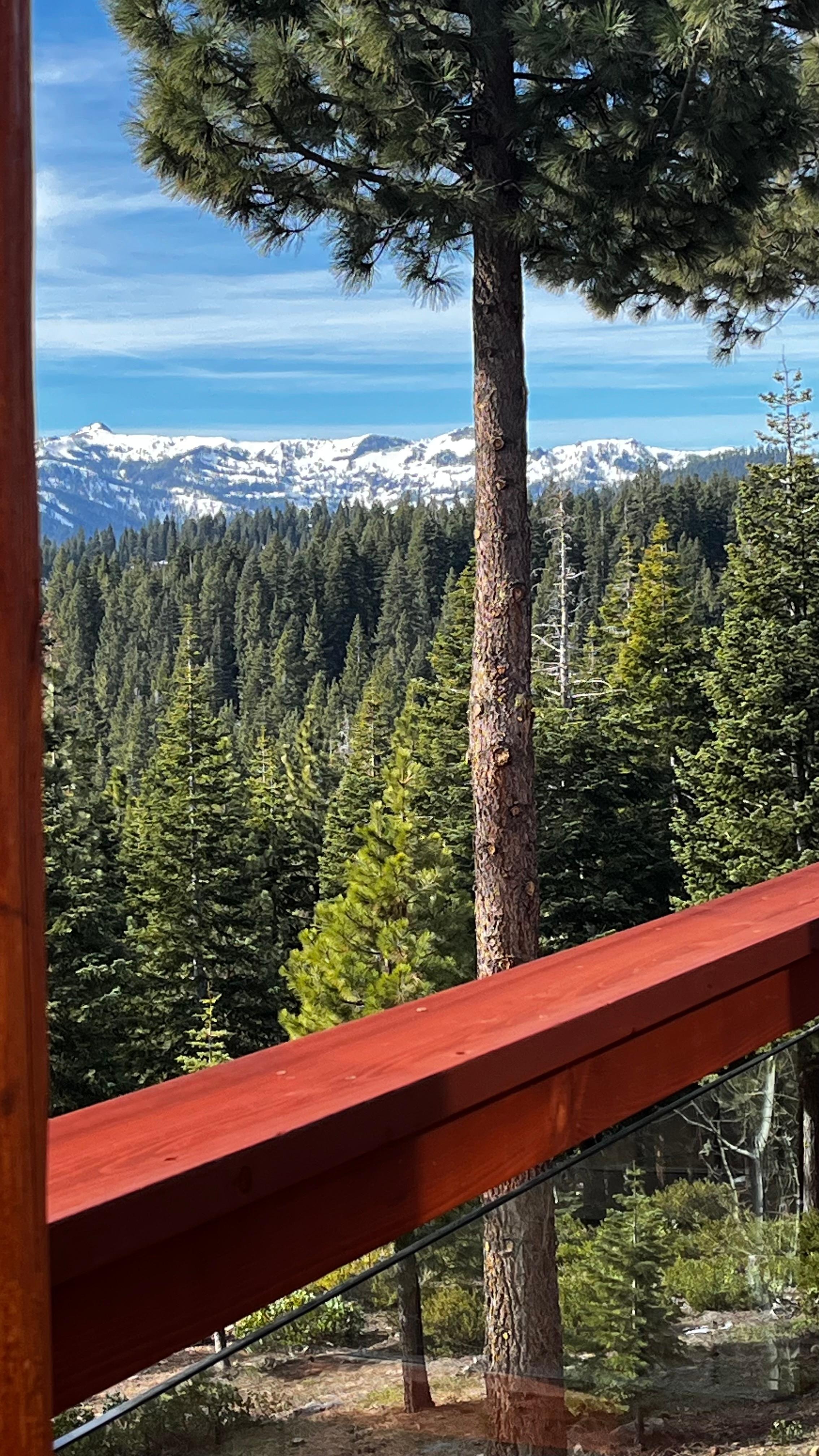 View out back deck