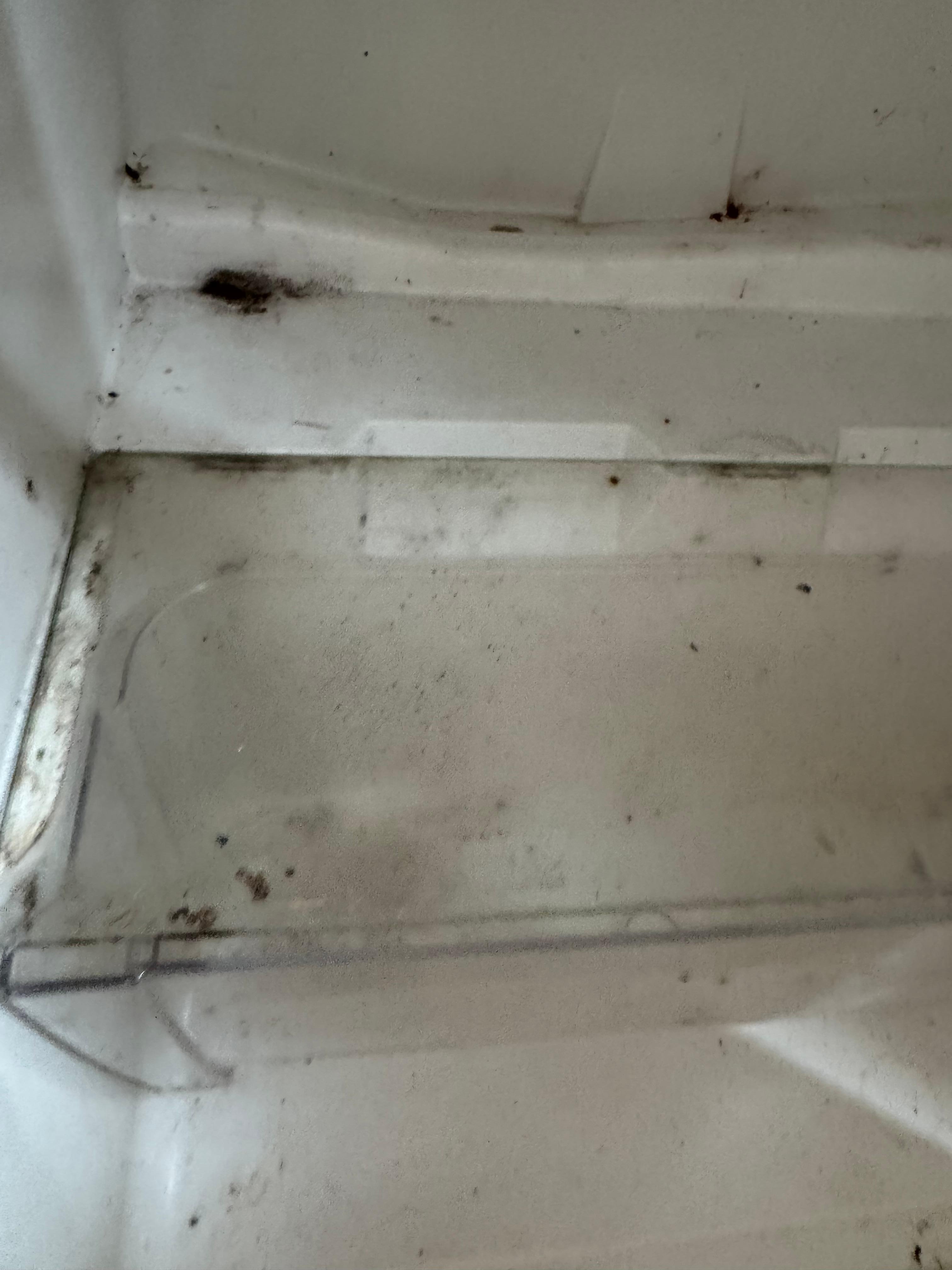 Inside the fridge 
