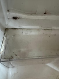 Inside the fridge