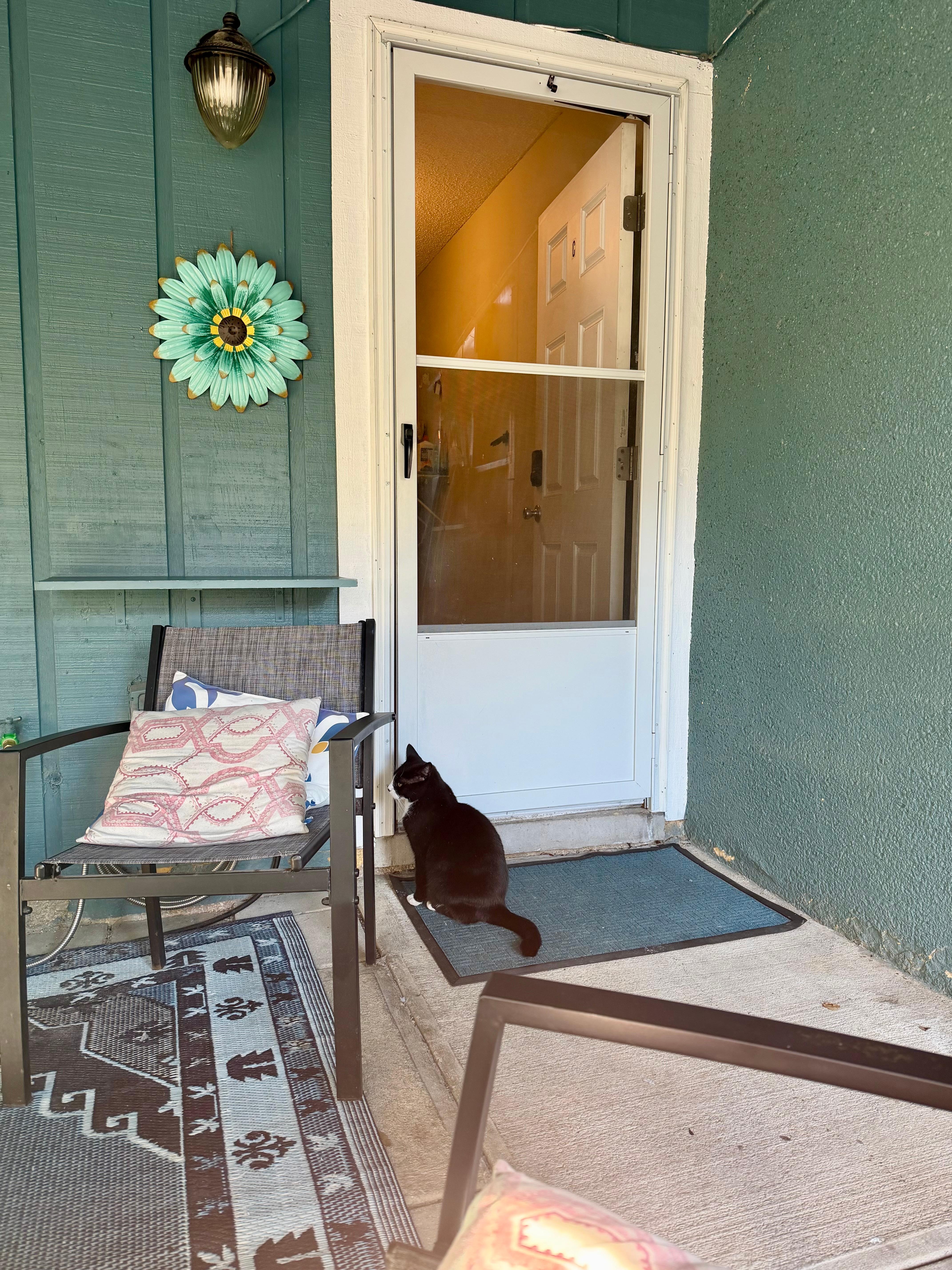 Every morning during my morning coffee on the patio Grimm would politely ask to come in the patio and wait for my daughter to come out and play. 