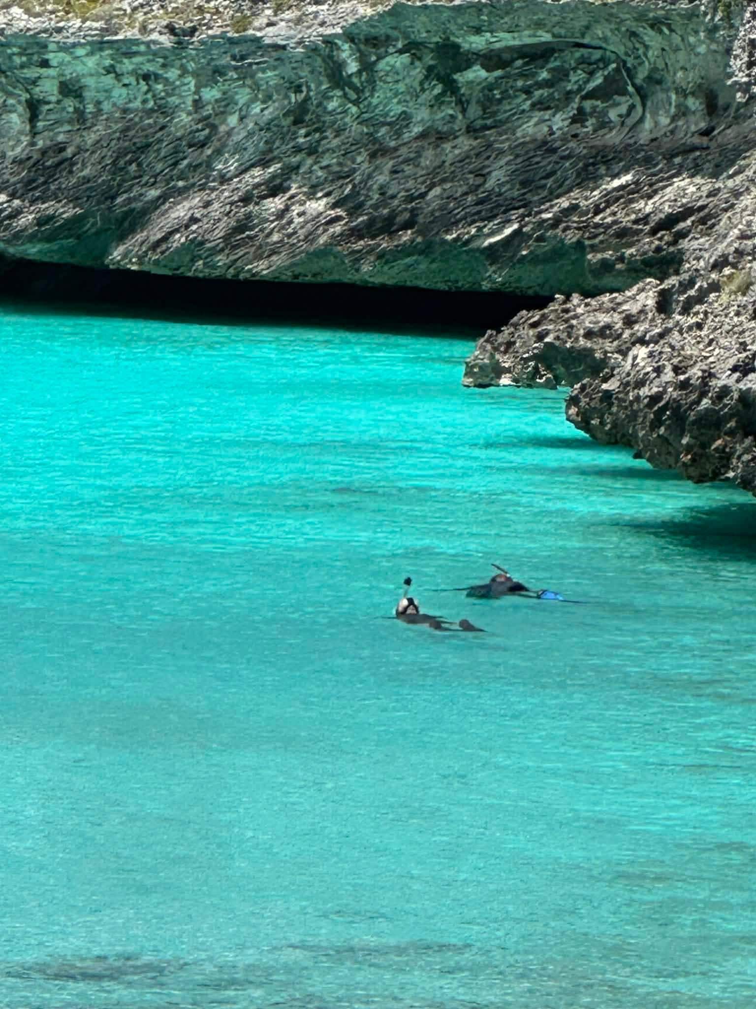 Great snorkeling 