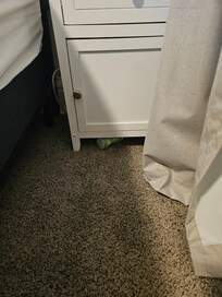 Trash left under nightstand