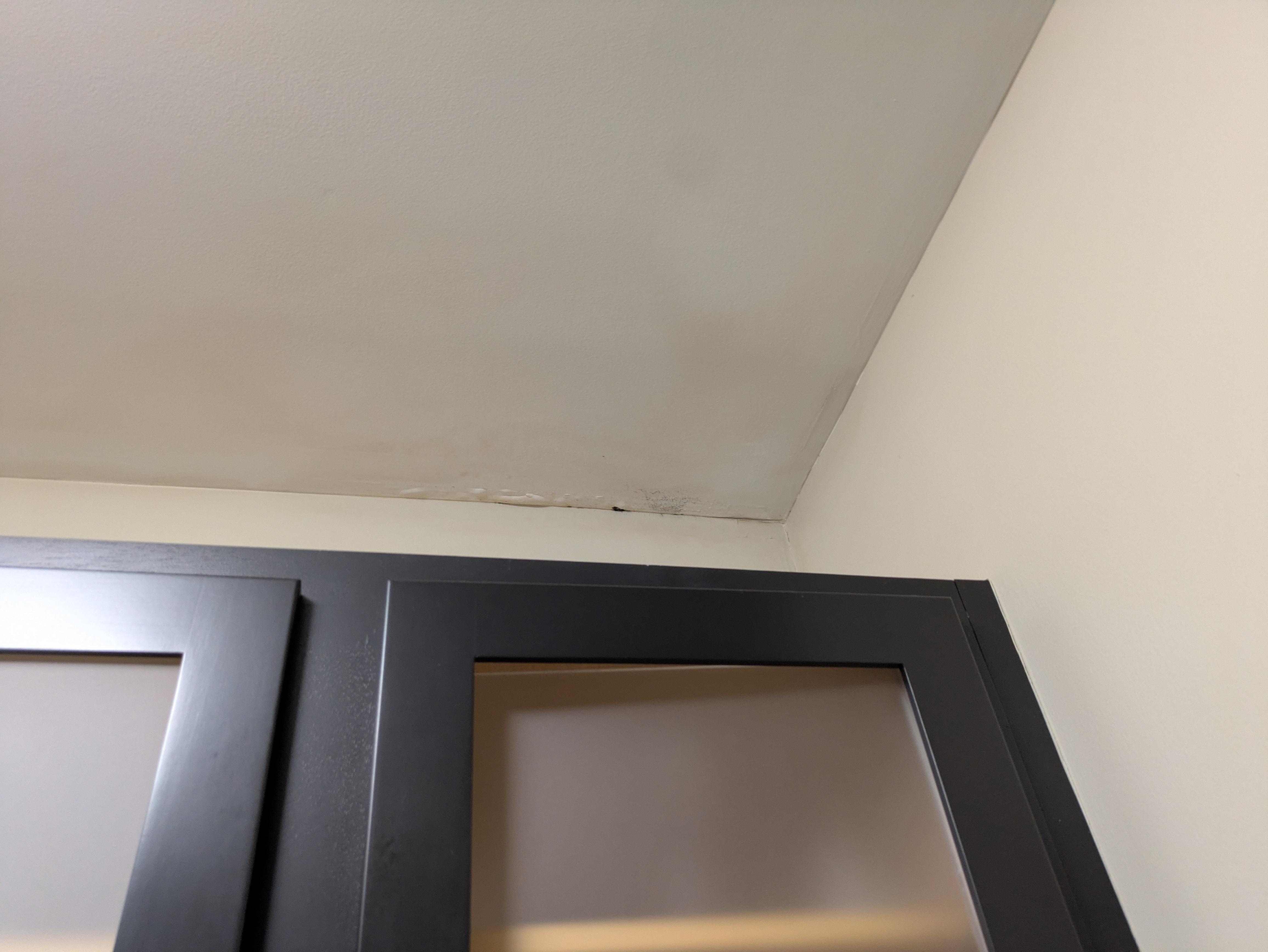 More water damage kitchen area