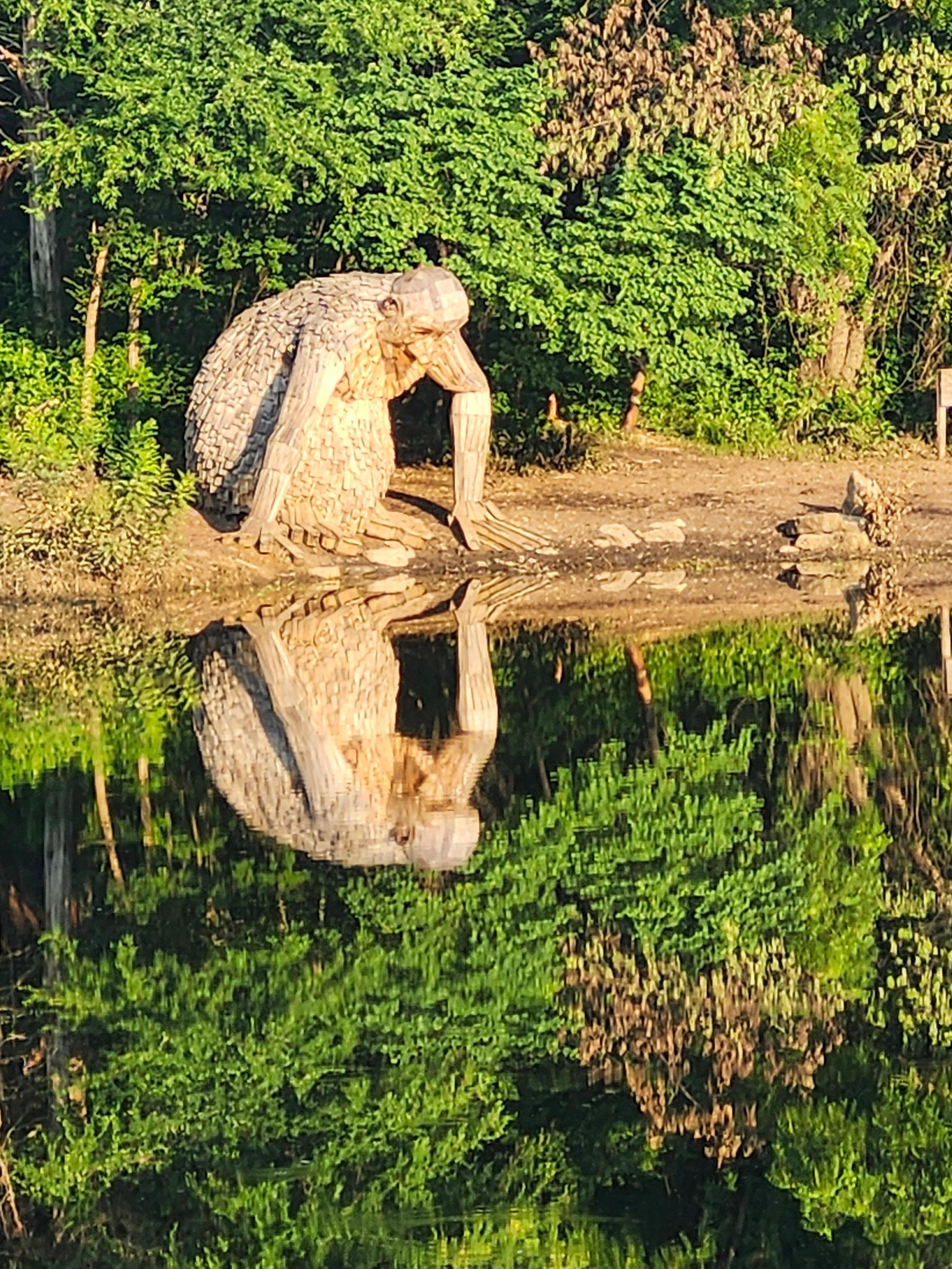 Bernheim Forest. Dambo trolls.