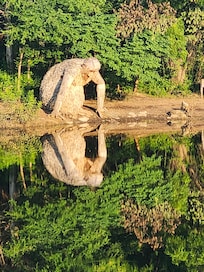 Bernheim Forest. Dambo trolls.