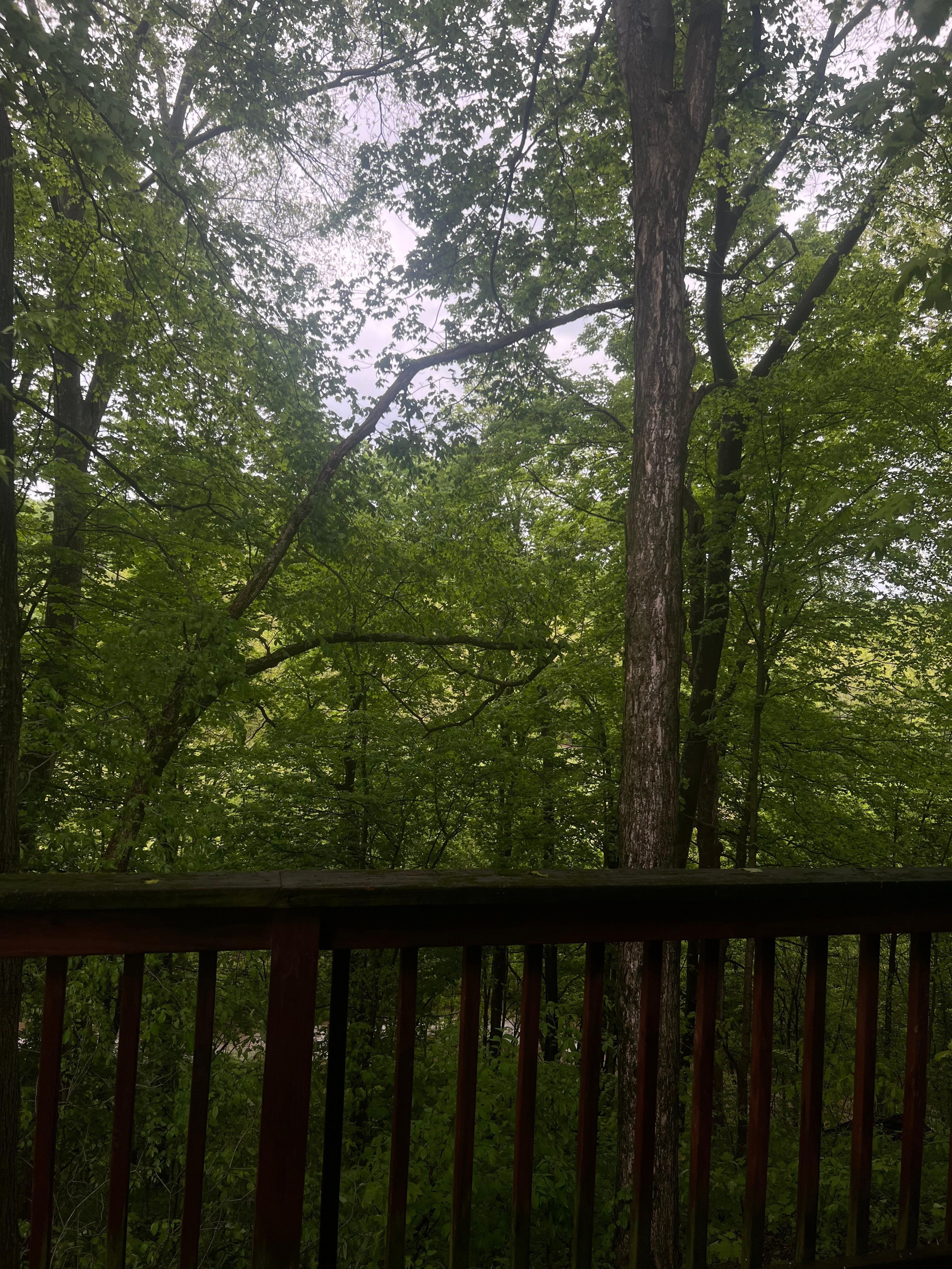 View from master bedroom 
