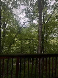 View from master bedroom