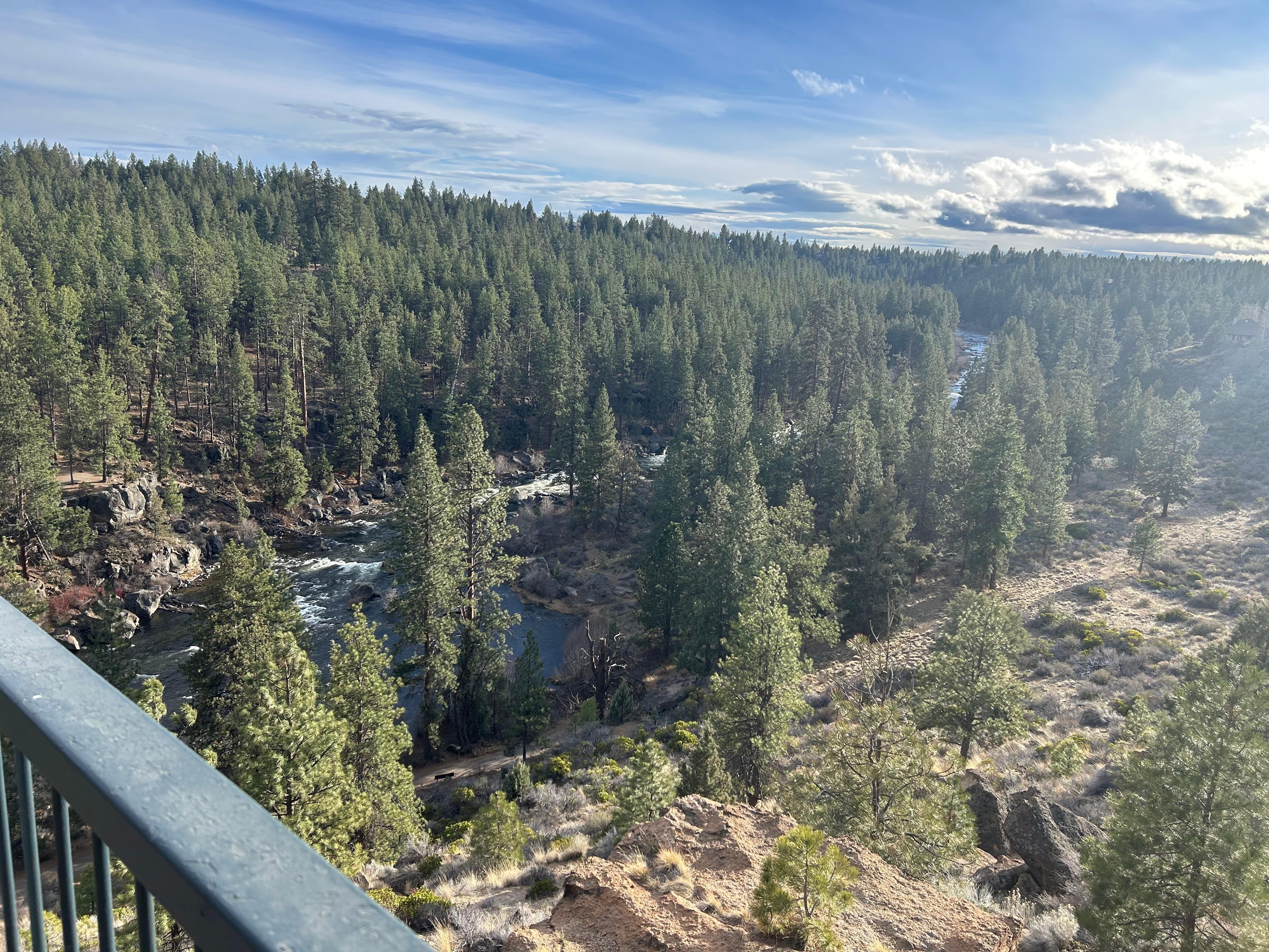 View of the Descuhtes from the balcony of the condo!