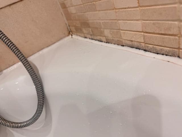 even more mold, everywhere