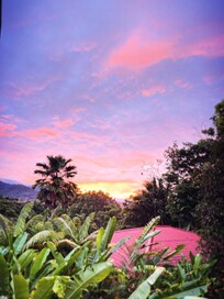Morning view from balcony