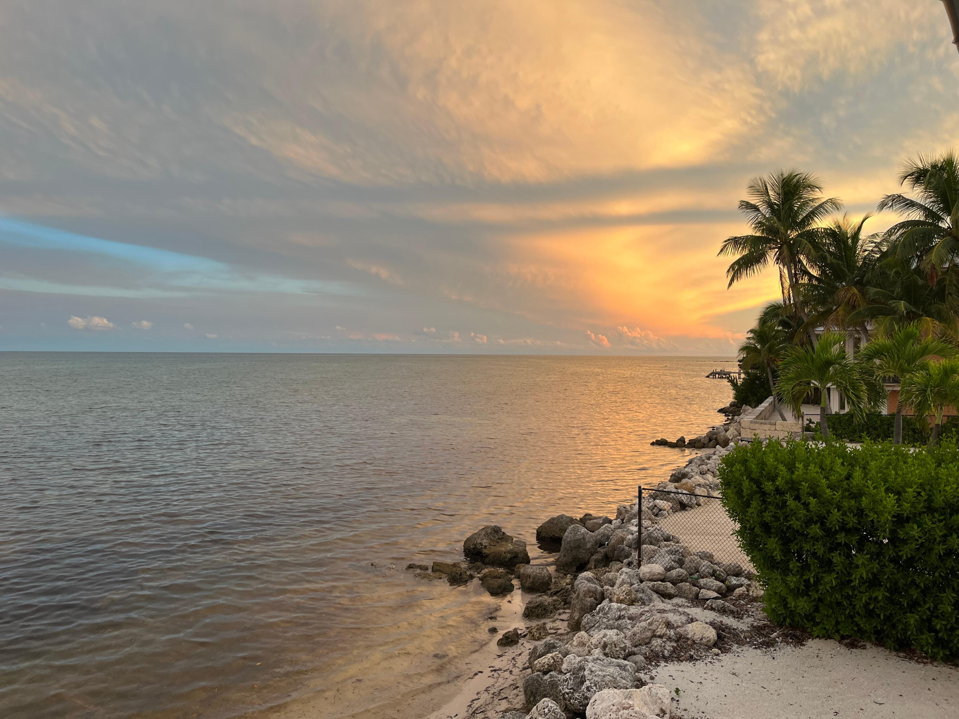View from the back deck