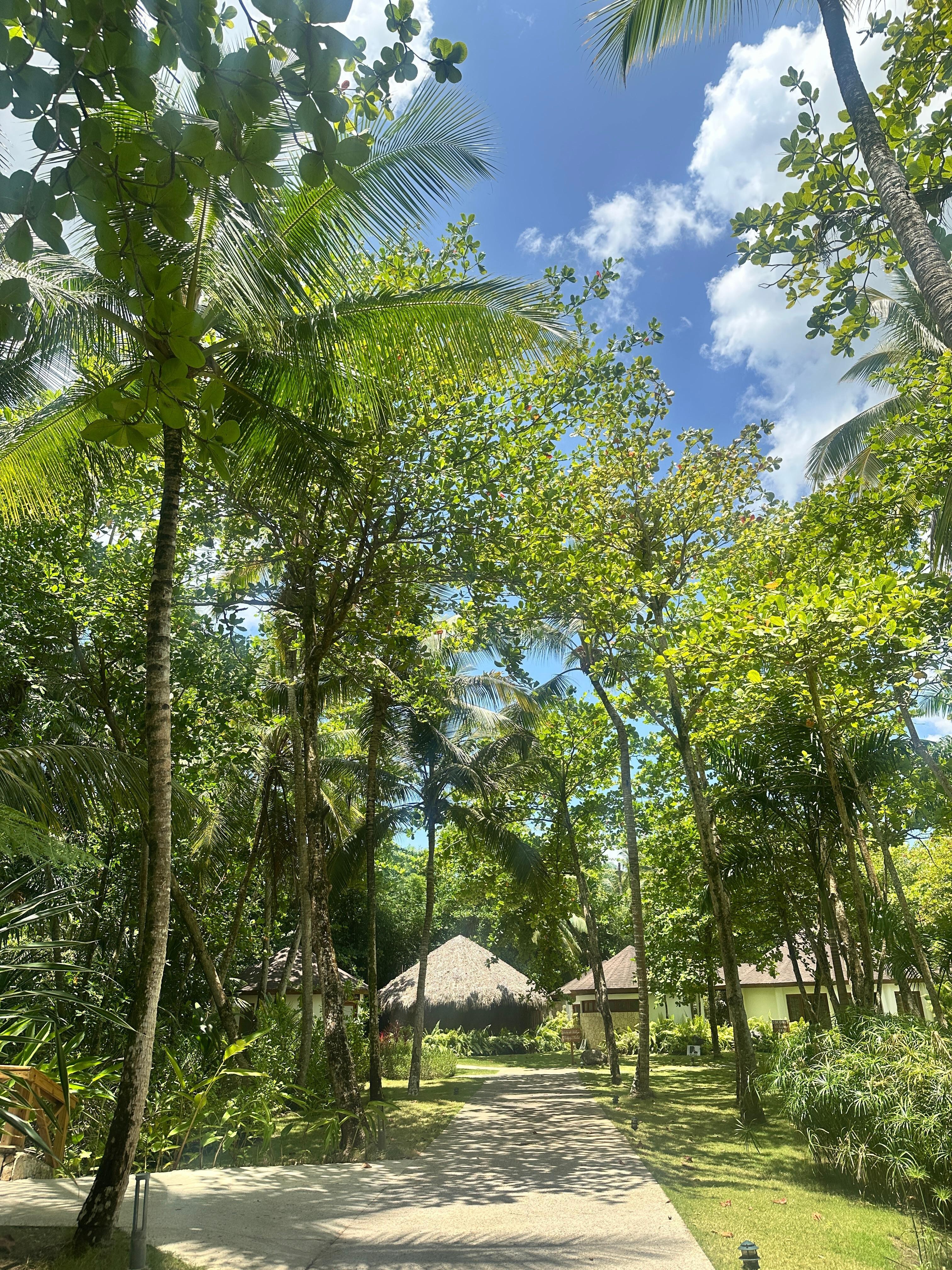 Spa area 