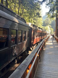Skunk train
