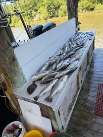 The day's catch