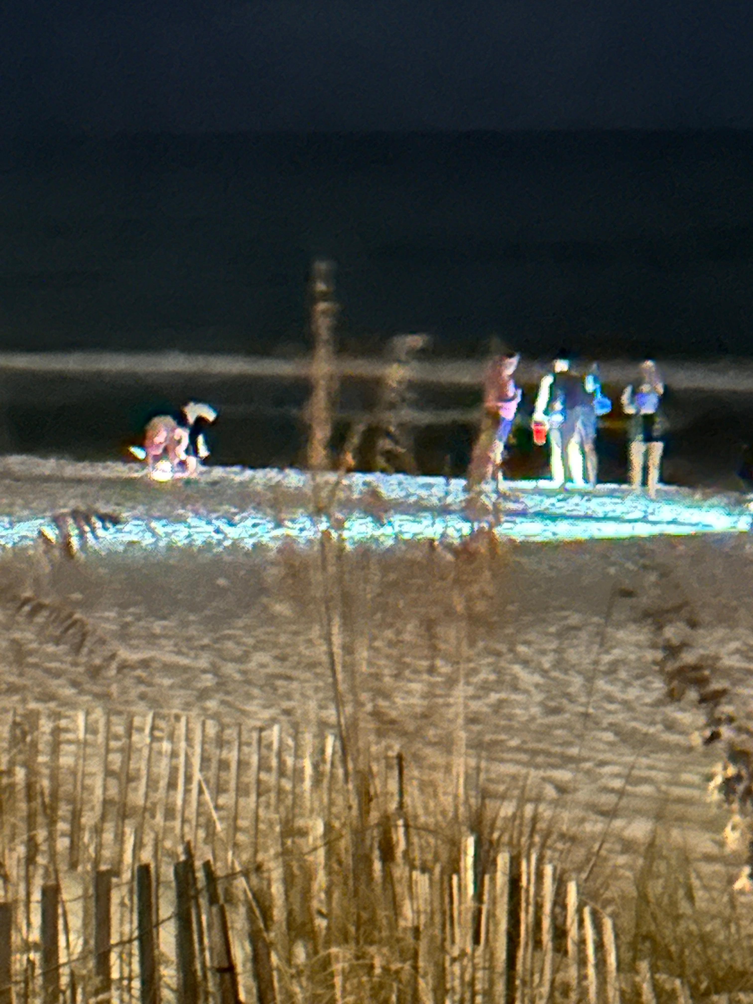 The kids loved crabbing!