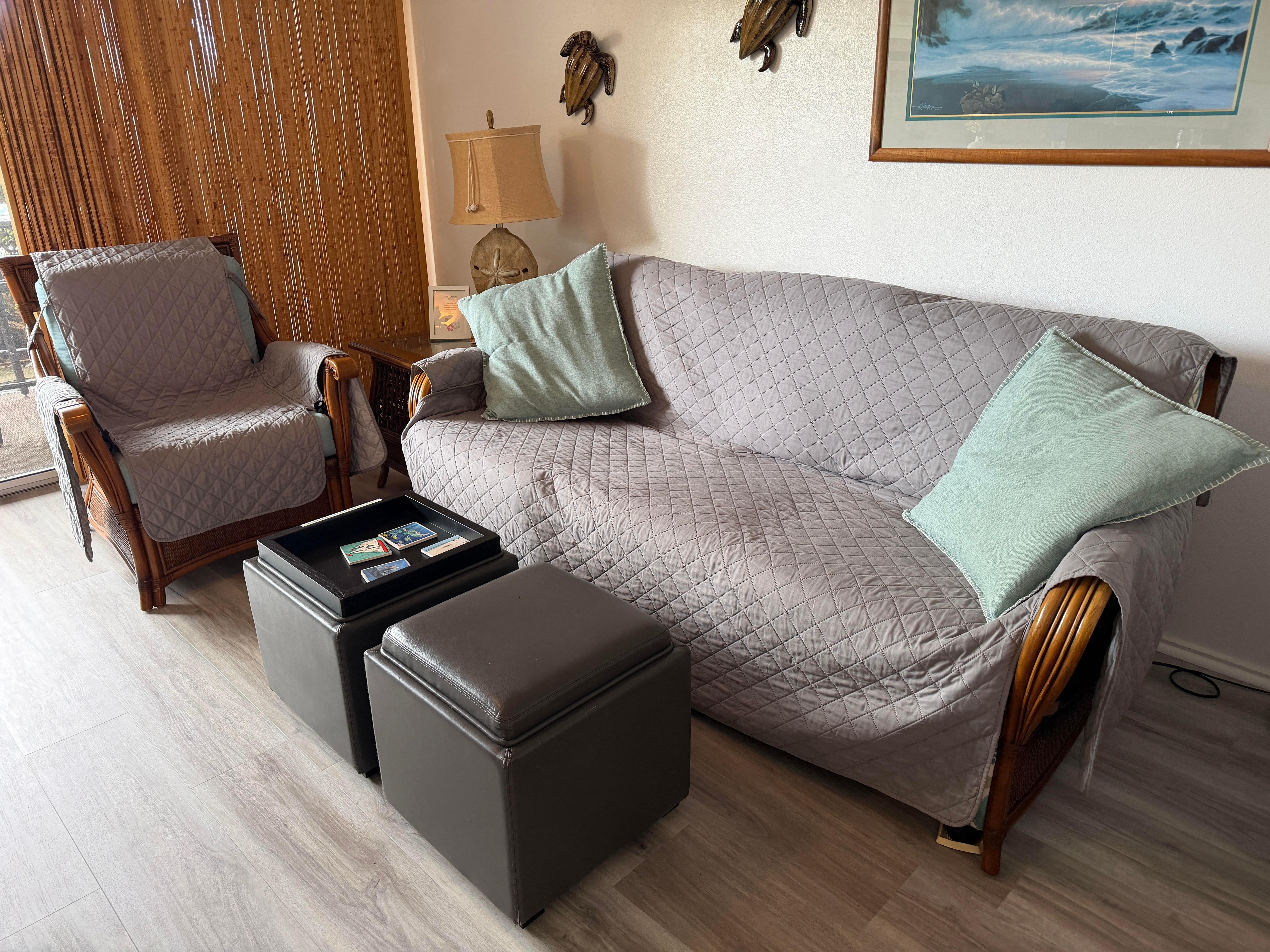 the furniture all covered up