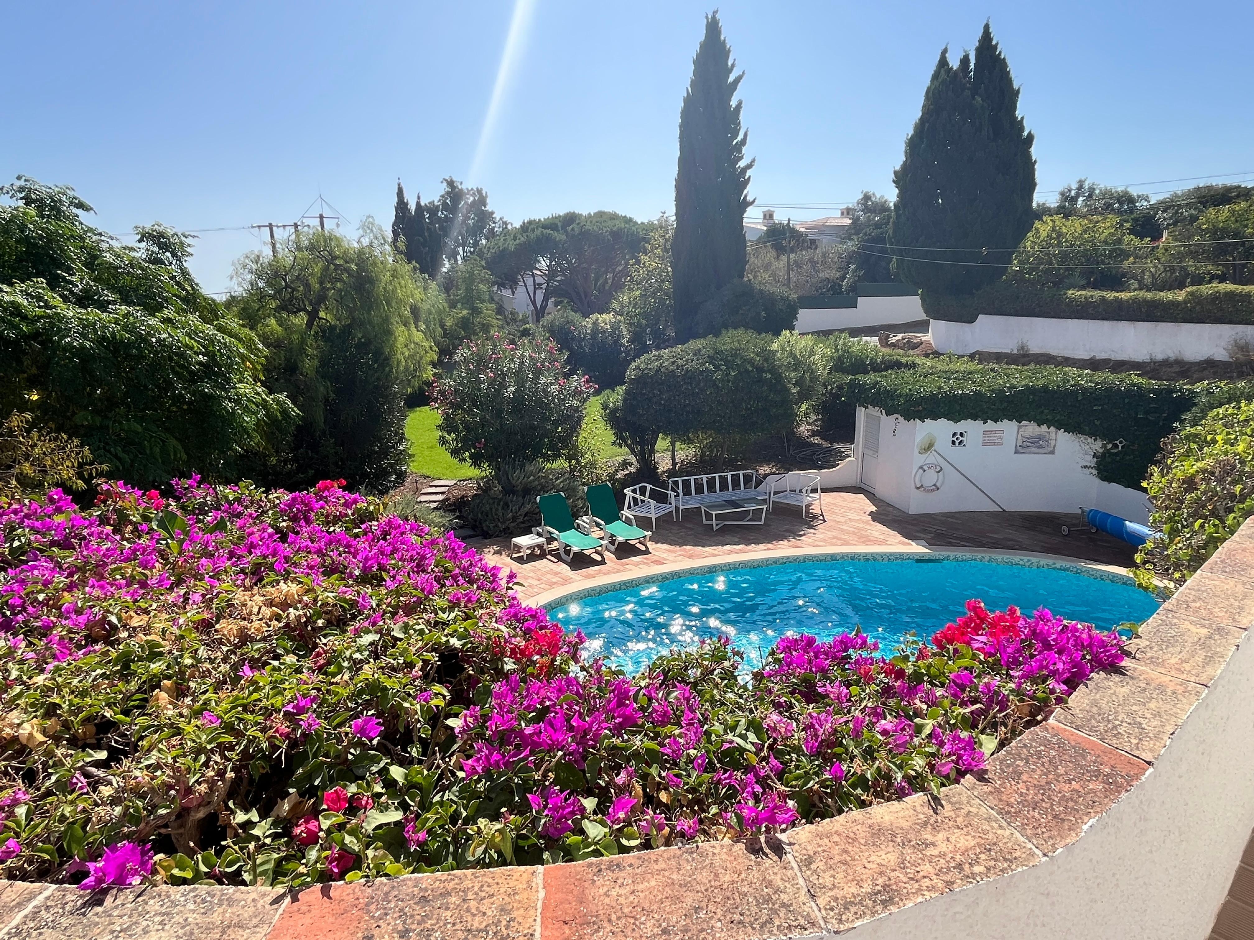 Pool and garden taken from the terrace.