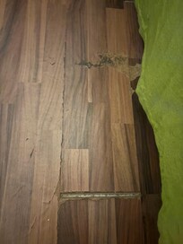 Tattered floor boards throughout room