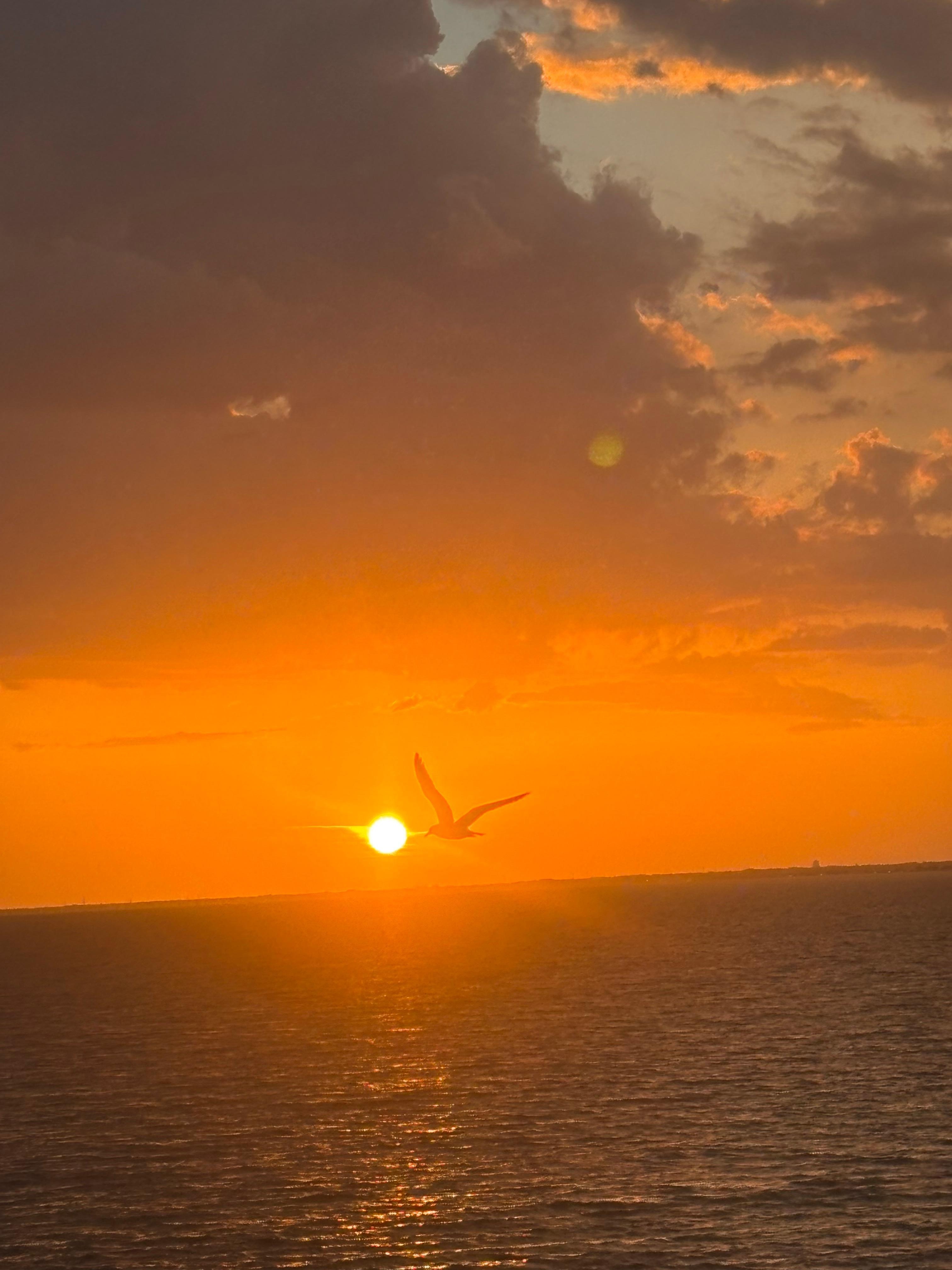 Sunsets were beautiful. 