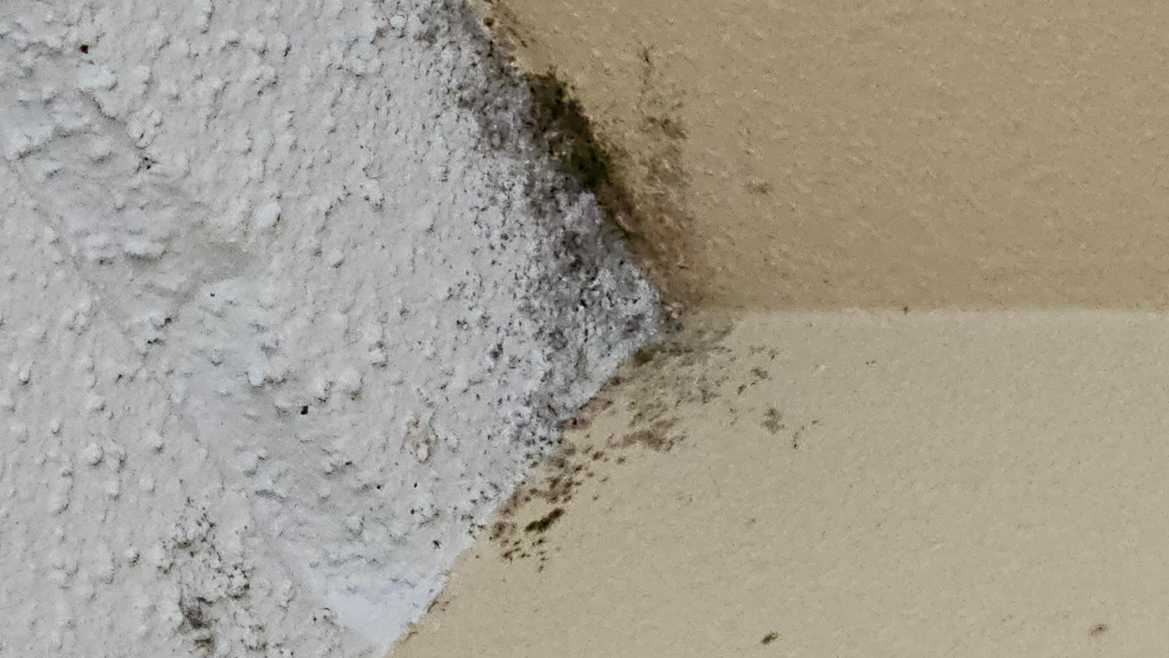 1st Room ceiling by the bathroom