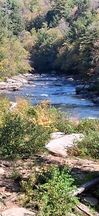 Swallow Falls