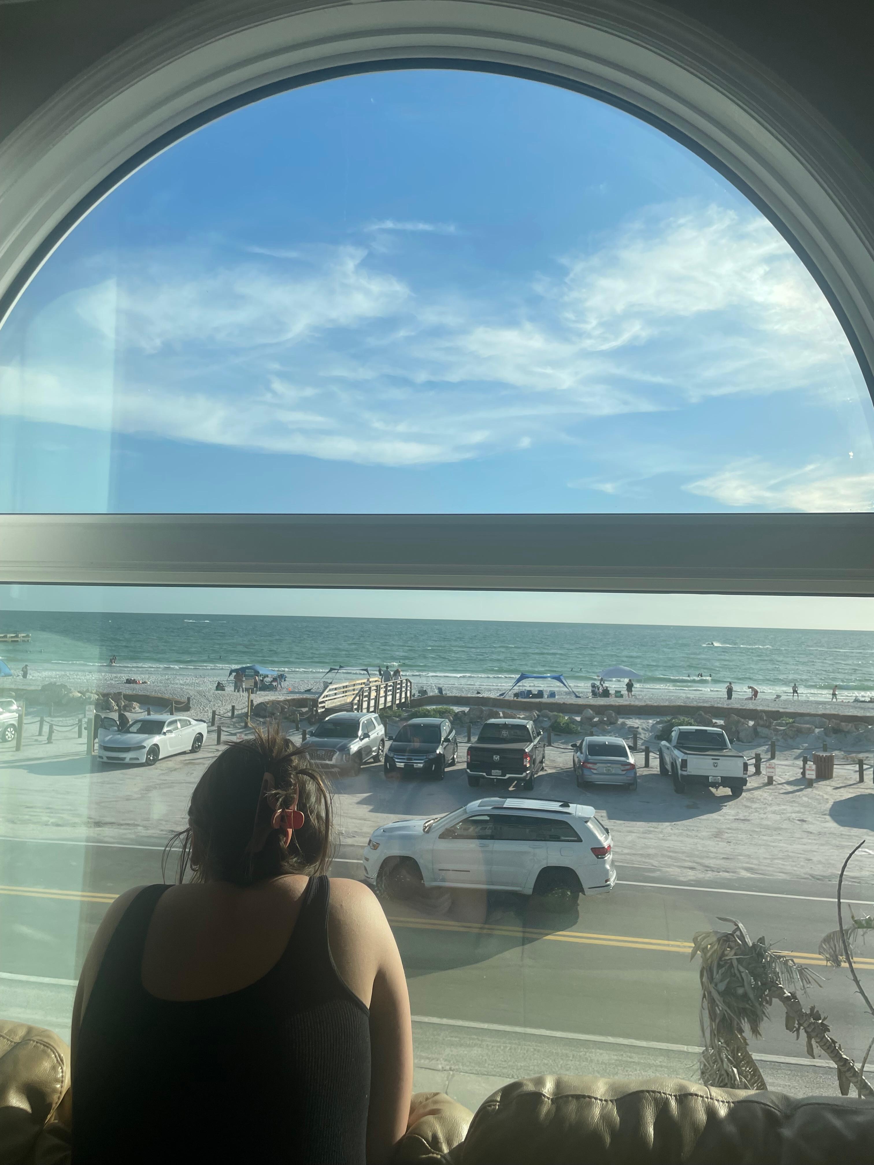 View from the living room window