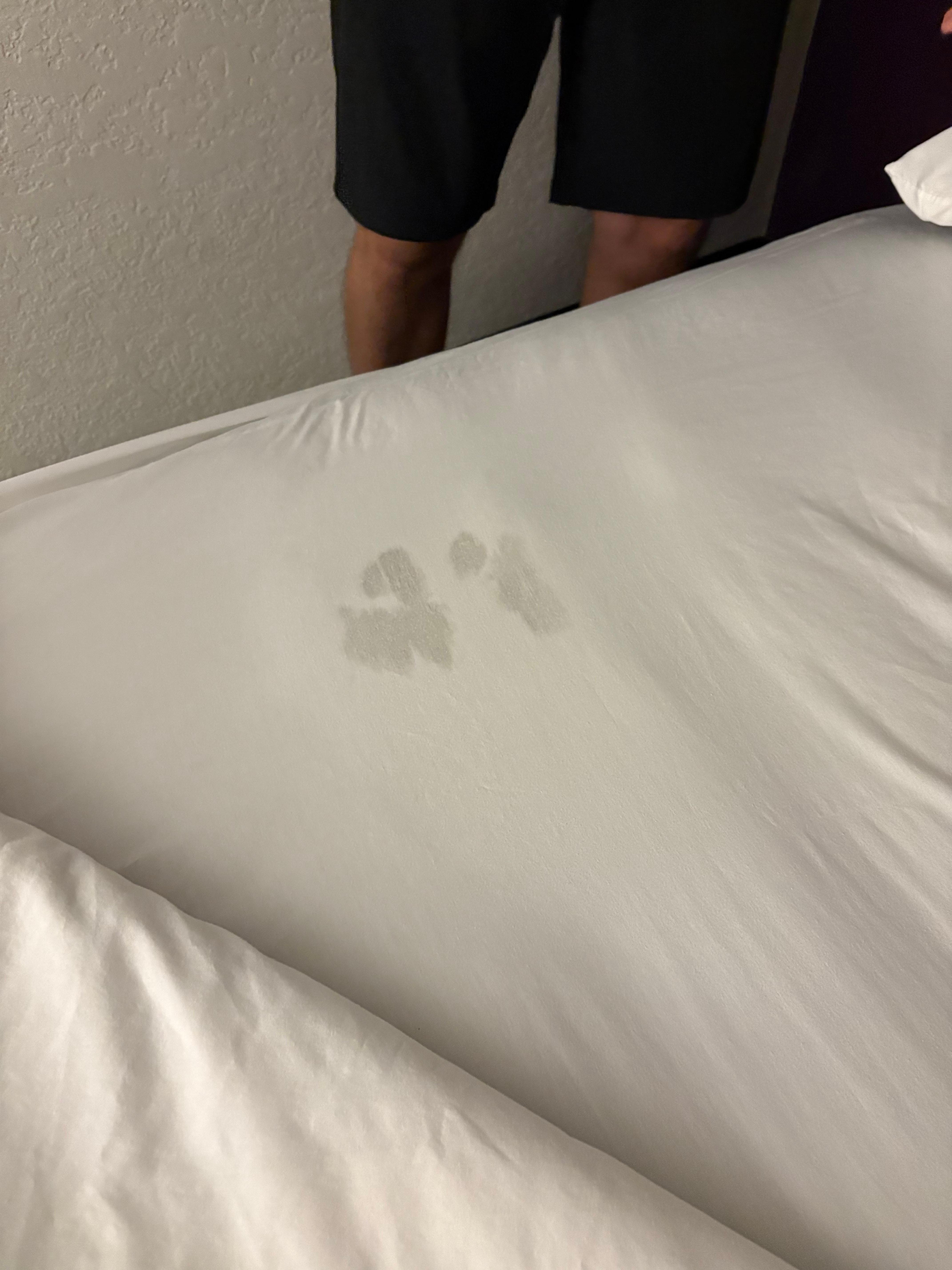 “Fresh” sheets