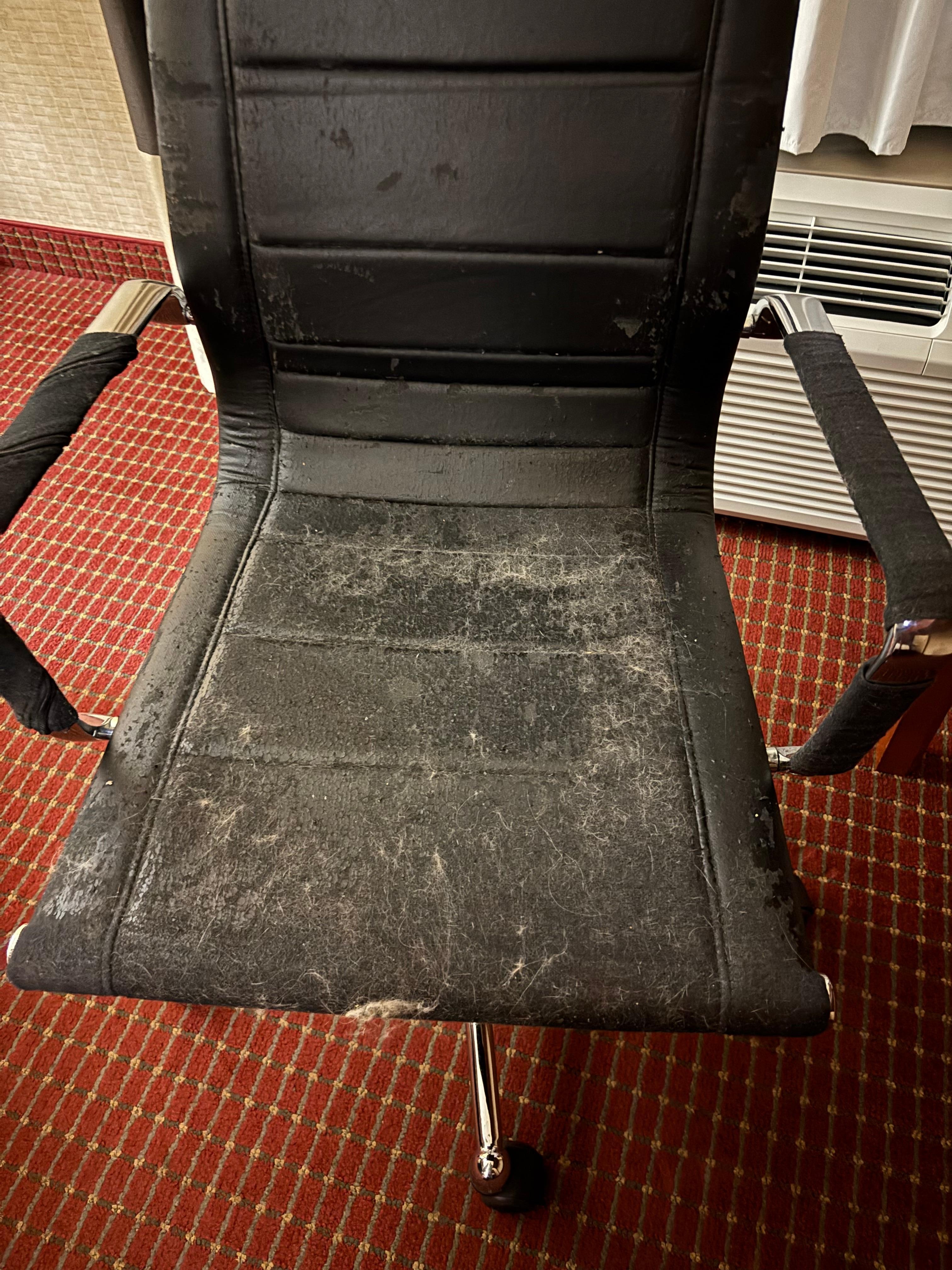 Animal hair on the chair