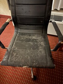 Animal hair on the chair