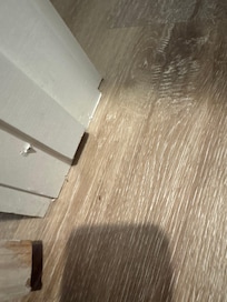 Ants on floor