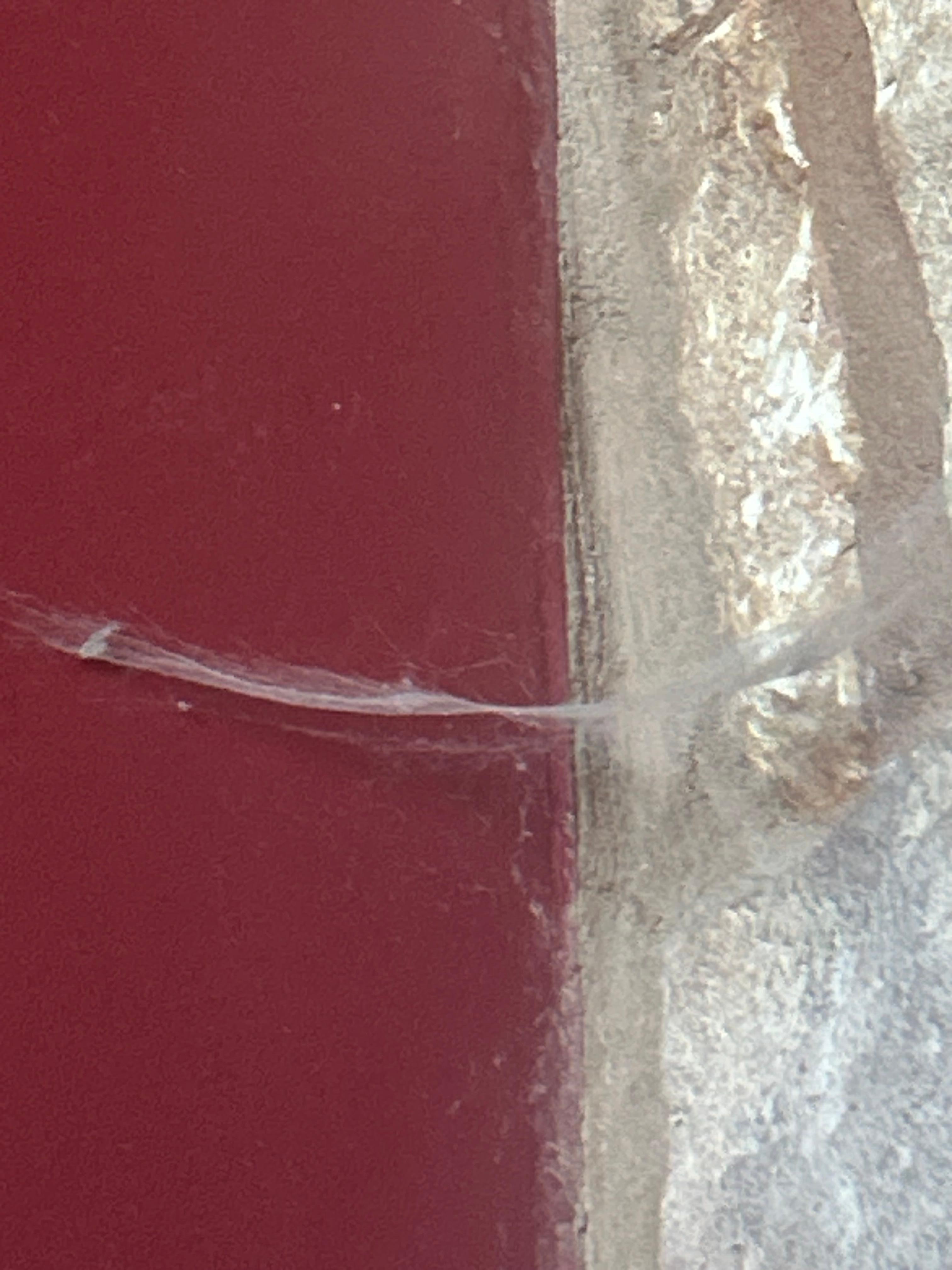 Spiderwebs in main living room in all window just above where the couch is.